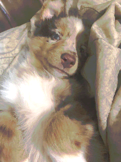 Baby Timothy