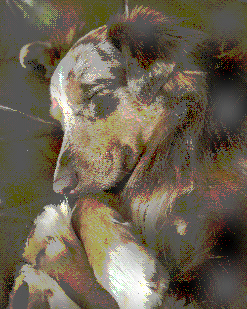 Timothy asleep